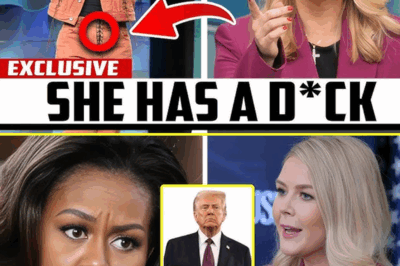 “BOOM! Karoline Leavitt DESTROYS Michelle Obama After Anti-Trump Swipe – You Won’t Believe What She Said!”.