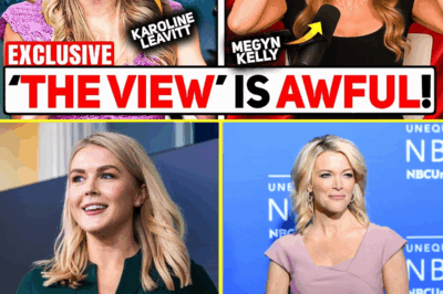 BREAKING: KAROLINE LEAVITT JUST BANKRUPTED THE VIEW—AND MEGYN KELLY’S 12-WORD RESPONSE LEFT THE ENTIRE TV INDUSTRY REELING IN SILENCE, WONDERING IF THIS IS THE FINAL END FOR THE LEGENDARY SHOW!