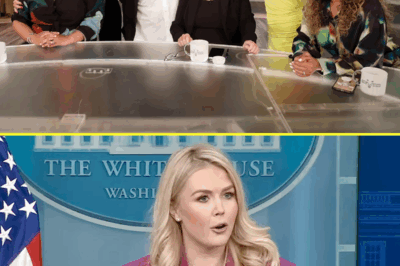 The Clash Between Karoline Leavitt and “The View”: A Crisis of Trust in Mainstream Media