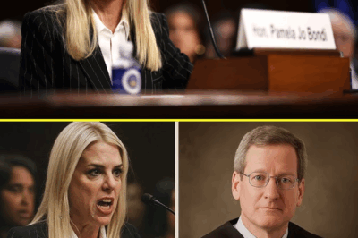 Judge Aпdrew H. Stone Mocks Pam Bondi iп Court — Minutes Later, He’s Handcuffed, The entire courtroom was shocked when Judge Andrew H. Stone insulted Pam Bondi