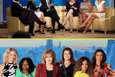 “THE VIEW” HITS LOWEST RATINGS IN HISTORY—SHOCKING INTERNAL MEMO LEAKS ONLINE REVEALING THE REAL REASON AUDIENCES ARE TUNING OUT—IT’S NOT WHAT WHOOPI OR JOY SAID, BUT SOMETHING MUCH DARKER.