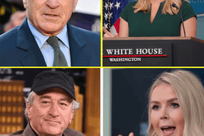 ROBERT DE NIRO SLAMS KAROLINE LEAVITT—SAYS SHE’S NOT A ROLE MODEL FOR WOMEN—THE COMMENT THAT SPARKED INSTANT BACKLASH, DIVIDED HOLLYWOOD, AND TRIGGERED A NATIONWIDE DEBATE ON MODERN FEMININITY.