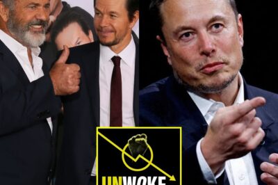 Mel Gibson And Mark Wahlberg Partner With Elon Musk And Invest Between $1 Billion And $3 Billion In A “non-woke” Film Studio Committed To Traditional Family Values.