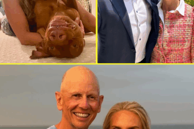 No kids, no regrets: Why Dana Perino chose to never have children and leave a different legacy
