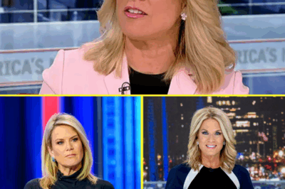 FOX NEWS SHOWDOWN: Martha MacCallum SHUTS DOWN Condescending Guest Who Called Her “Sweetheart”—What Happened Next Left Viewers Stunned! A Bold Moment of TV Power and Backlash That’s Going Viral! – meo