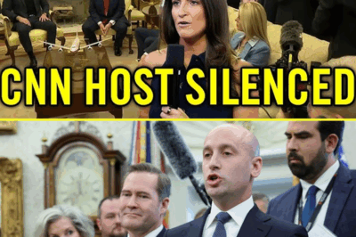 Stephen Miller FLIPS OUT and HUMILIATES Kaitlan Collins in the Oval Office