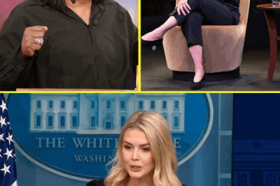 FOX NEWS ERUPTS: Karoline Leavitt Obliterates The View With One Savage Line—Even the Hosts Didn’t See It Coming