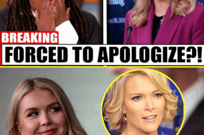 SHOCKING TURN OF EVENTS: KAROLINE LEAVITT TAKES DOWN THE VIEW WITH A SINGLE JOKE—MEGYN KELLY’S 12-WORD RESPONSE SAYS IT ALL! What Started as a Flippant Remark Led to a Legal Nightmare That Has Daytime Talk TV Reeling.