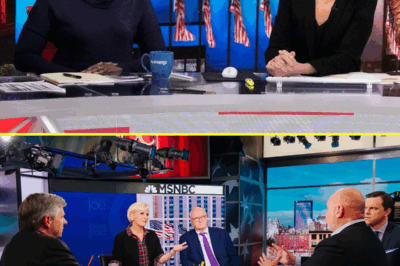 BREAKING: Rachel Maddow ANNOUNCES SHOCKING QUIT from MSNBC—The Emotional Burnout, Behind-the-Scenes Chaos, and What’s REALLY Going on at the Network Revealed!