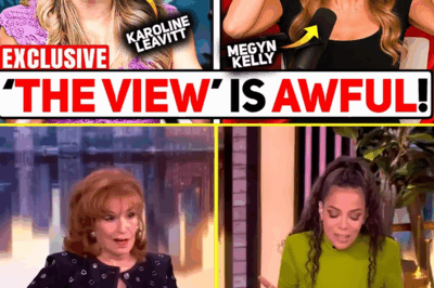 THE STAGE WAS A TALK SHOW — BUT THE FINAL ACT PLAYED OUT IN COURT