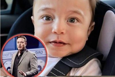 Elon Musk is often regarded as one of the most innovative and ambitious entrepreneurs of our time. With a vision of shaping the future, Musk has founded and led several groundbreaking companies, including Tesla, SpaceX, and Neuralink.