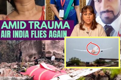 BREAKING UPDATE: Experts Finally Uncover What Brought Down Air India Flight AI 171 — The Pilot’s Last Words Were So Hau:nting, Investigators Refused to Repeat Them Publicly