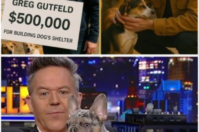BREAKING: Greg Gutfeld’s $500,000 Donation to Build a Stray Dog Sanctuary Will Melt Your Heart!