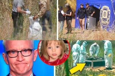 FINALLY FOUND! Madeleine McCann disappeared on May 3, 2007 in Portugal – see the complete timeline of her disappearance that shocked the world!