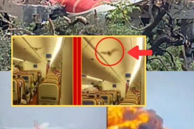 “WE’RE SO S0RRY” – Indian Airline Stuns the World by Releasing Mysterious Black Box, Revealing Chi:ll:ing Final Moments Before 270 Passengers Pe:rish:ed in Fireball Crash