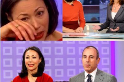 Ann Curry Quietly Reemerges After Years of Silence — And Her Chilling Words Are Sending Shockwaves Through NBC the Today Show and Everyone Who Thought the Past Was Buried