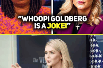 EXPLOSIVE TV MOMENT: Karoline Leavitt Calls for Boycott of ‘The View’ During Live Broadcast—Fans Applaud, Social Media Explodes