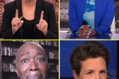 Rachel Maddow ERUPTS in Anger Over Joy Reid Exit Deal—Calls MSNBC Execs “Bastards” in Private Meeting, Insider Leaks Reveal What Triggered Her Meltdown and the Truth Network Hoped You’d Never See