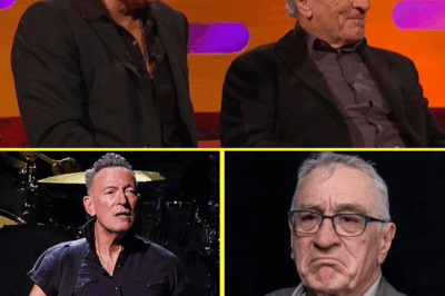 BREAKING: Bruce Springsteen And Robert De Niro Decide To Leave The United States Due To Disrespect And Shocking Statements.