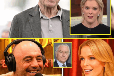 ROBERT DE NIRO’S SH.0.CKING 8-WORD RESPONSE TO MEGYN KELLY AFTER SHE CALLS HIM “EXTREMELY STUPID” LIVE ON AIR