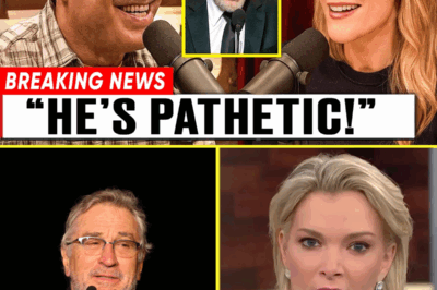 Robert De Niro’s 8-Word Retort to Megyn Kelly Wasn’t Just Savage—What Happened Seconds After Left the Audience Gasping, Producers Scrambling, and Media Outlets Begging for the Full Unedited Clip