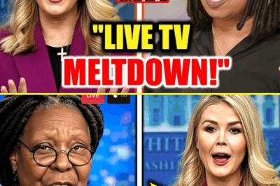 Karoline Leavitt just took the gloves off—and America noticed. Her powerful on-air call to boycott The View left the panel stunned and viewers electrified. With sharp criticism of the show’s political bias and perceived censorship, she tapped into growing frustration felt by millions. Overnight, hashtags supporting Leavitt surged to the top of Twitter. Love her or hate her, this was a moment of raw, unapologetic truth—and the ripple effects are just beginning.