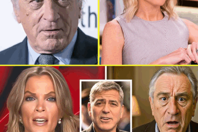 UNEXPECTED TV SHOWDOWN: Robert De Niro RESPONDS TO MEGYN KELLY’S ‘EXTREMELY STUPID’ INSULT WITH 8 SIMPLE WORDS THAT STUNNED THE AUDIENCE AND HOST