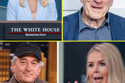 Robert De Niro Claims: Karoline Leavitt Is Not Qualified to Be a Role Model for Women