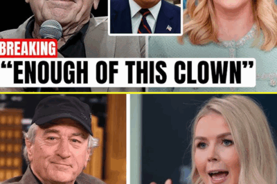 ROBERT DE NIRO BLASTS KAROLINE LEAVITT ON LIVE TV—CALLS HER “DANGEROUS”—THE REASON HE SAYS SHE’S A BAD ROLE MODEL FOR WOMEN JUST IGNITED AN EXPLOSIVE POLITICAL WAR ONLINE.