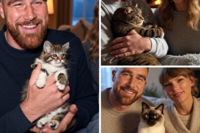 Travis Kelce, a Lifelong Dog Lover, SHOCKS Fans by Welcoming a Cat into His Home with Taylor Swift – Their Whimsical Decision to ‘Liven Up’ Their Mansion and the CAT’S BIZARRE Name Have Left Friends Stunned and Social Media in a Frenzy!