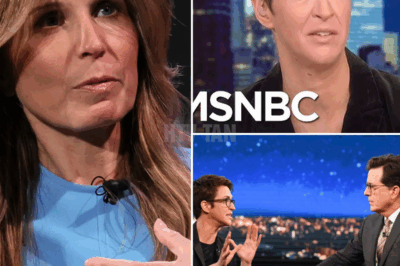 Nicolle Wallace and Rachel Maddow Mock ‘Fascism’