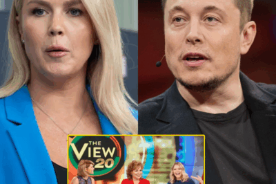 BREAKING: Just 30 minutes ago, Karoline Leavitt and Elon Musk stunned the nation by releasing a shocking exposé targeting ‘The View’.