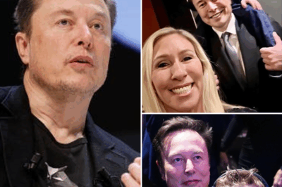 Elon Musk calls for a boycott of male athletes competing in women’s competitions and proposes massive penalties for cheating