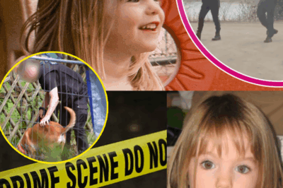 Madeleine McCann Search: German Police Find Cellar During Allotment Search – Is An Announcement Imminent?