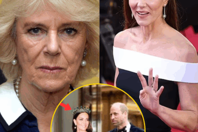 “I DON’T ACCEPT IT!” – Camilla FUMING Seeing Catherine Publicly Wearing Diana’s Most Iconic Jewelry