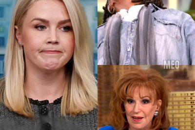 FOX NEWS ERUPTS: Karoline Leavitt Obliterates The View With One Savage Line—Even the Hosts Didn’t See It Coming – meo