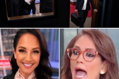 Fans Are Calling It One Of The Most Dramatic Behind-The-Scenes Implosions In Fox News History—Tensions Exploded Without Warning On The Set Of The Five. Emily Compagno Was Abruptly Removed Mid-Show After Crossing A “No-Return” Line. Just Moments Later, Jessica Tarlov Reportedly Stormed Out, Slamming The Dressing Room Door And Refusing To Return. The Studio Went Silent. Producers Froze. Cameras Cut….WHAT REALLY HAPPENED??
