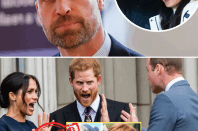 “ENOUGH IS ENOUGH!” — Prince William Declares He Will STRIP Harry, Meghan, and Their Children of HRH Titles Upon Taking the Throne! The Sussexes’ Explosive Response Is What No One Saw Coming