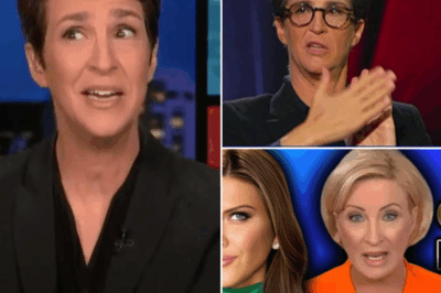 🚨 MSNBC CHAOS: Rachel Maddow Walks Off Set—Emotional Breakdown and Network Turmoil EXPOSED in Her Shocking Exit!