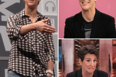 TV Queen Rachel Maddow Opens Up: The Real Reasons Behind Her MSNBC Exit and Her Surprising New Life in Western Massachusetts!