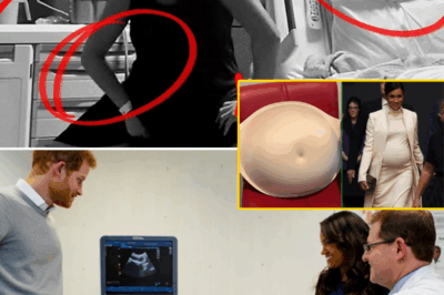 Prince Harry SNAPS: “Stop Lying About My Wife!” – Shocking Outburst Over Meghan’s Pregnancy Rumors Leaves Royal Fans Reeling
