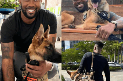 “She saved my life first” — Lawrence Jones’ unlikely guardian angel wears a vest and four paws. Fox’s rising star reveals how a tail-wagging stranger turned into his soul’s protector—on and off screen. Forget teleprompters—his greatest lessons come from her eyes. From military bases to backstage studios, Nala has been more than a companion—she’s his mission. But what drove this fearless anchor to open up now? And how did one silent gesture from Nala change everything? Inside the bond that’s breaking barriers—and healing heroes