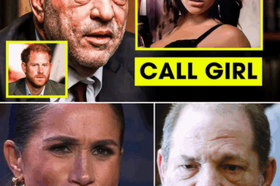 EXPOSED: Meghan Markle’s Royal Fairytale Was a CALCULATED POWER MOVE — Weinstein Drops BOMBSHELL Allegations Claiming She Used Prince Harry to ESCAPE Obscurity and REBRAND Herself as a Global Icon, Turning the Crown Into Her Personal PR Machine!