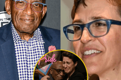 No well-wishes from colleagues during Pride Month—Rachel Maddow believes it’s because her presence at MSNBC has drastically waned. As the talented host felt a bit hurt, she had no idea that a carefully made, deeply heartfelt, and meticulously prepared gift was on its way from Al Roker to her and the entire LGBTQ staff at NBC! The beloved weatherman has always been the most thoughtful one! The gift honors the true value within each person, paid for with countless sleepless nights from Al Roker!
