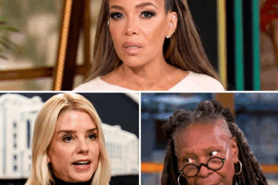 Pam Bondi DROPS A BOMBSHELL on The View—One Sentence Turns the Set into TOTAL CHAOS