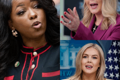 Behind the scenes, producers were scrambling. What was supposed to be a controlled segment devolved into chaos as Karoline Leavitt unleashed a series of shocking facts that Crockett failed to refute