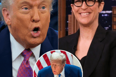 Rachel Maddow’s Truth Bomb: The Words Surgical Strike Exposes the Darkness behind White House Wall!