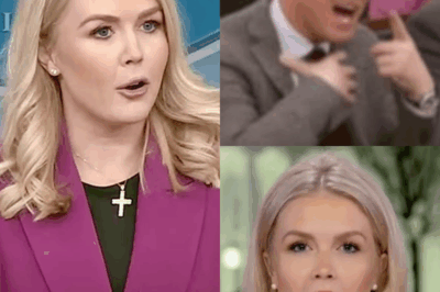 FOX NEWS ERUPTS — Reporter FIRED Instantly After Live Insult To Karoline Leavitt… Her Ice-Cold Response Freezes The Studio.