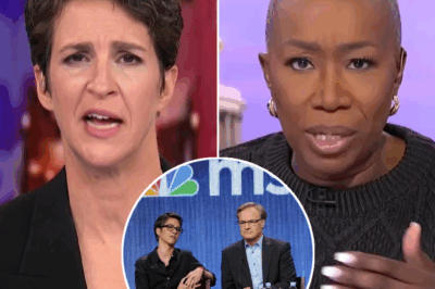 RACHEL MADDOW REFUSES TO BACK DOWN—How A Quiet Act of Solidarity Sparked a POWERFUL REVOLUTION Behind MSNBC’s Controversial Programming Shifts!