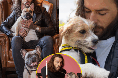 BACKLASH ERUPTS: Pete Wicks Sparks Outrage After Declaring “I Prefer Dogs to People”